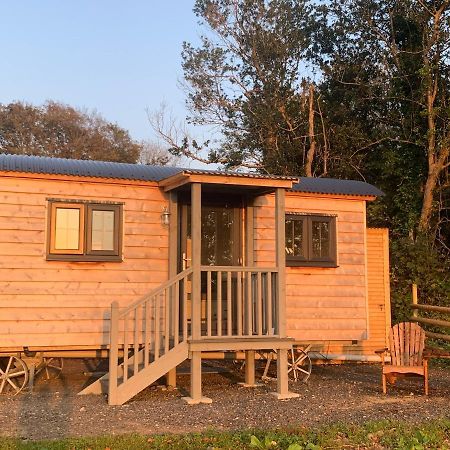 Lle Mary - Beautiful Views, Hot Tub, Secluded, Dog Welcome, Barmouth Llanddwywe Luaran gambar