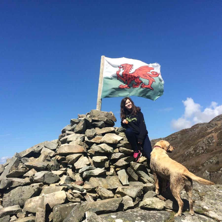 Lle Mary - Beautiful Views, Hot Tub, Secluded, Dog Welcome, Barmouth Llanddwywe Luaran gambar