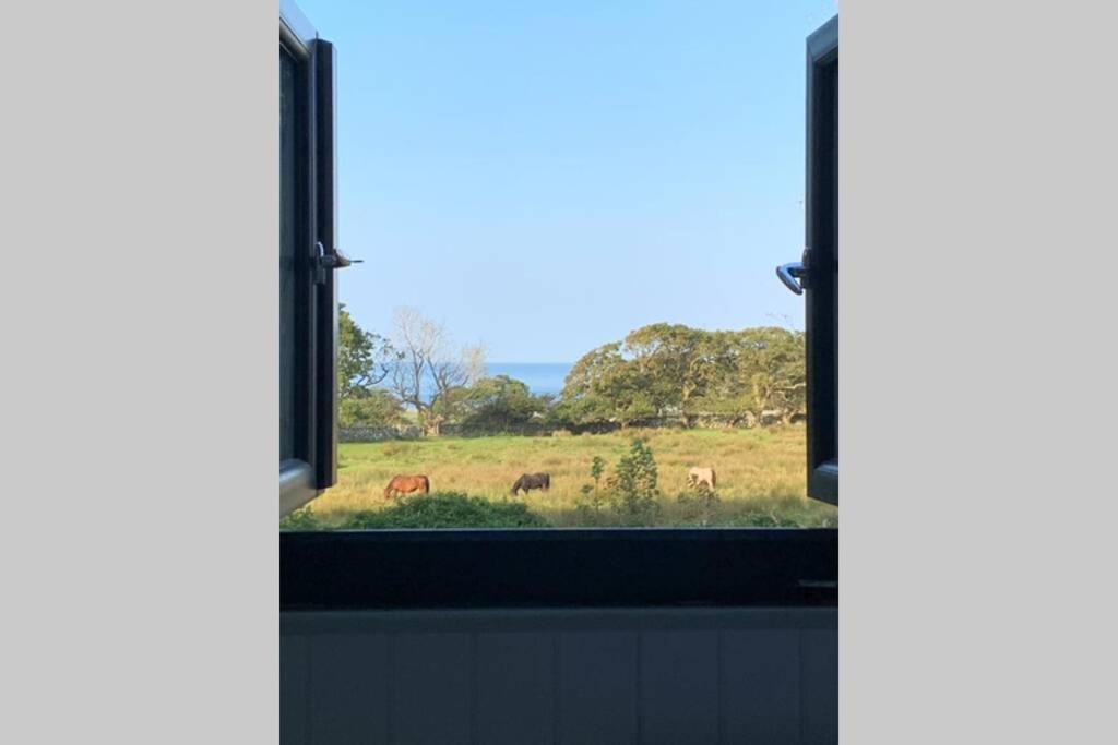 Lle Mary - Beautiful Views, Hot Tub, Secluded, Dog Welcome, Barmouth Llanddwywe Luaran gambar